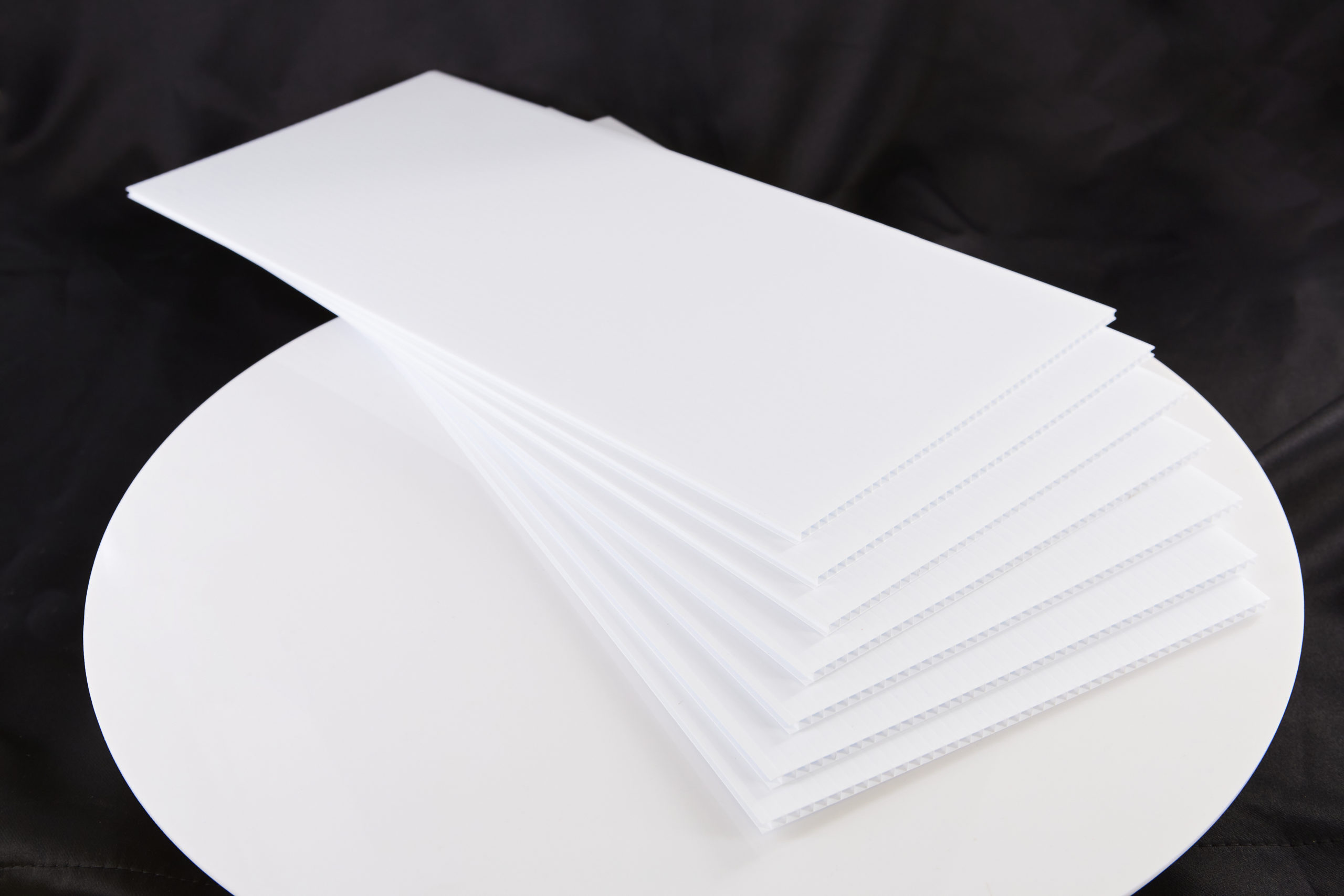 All White Cardboard Sheet